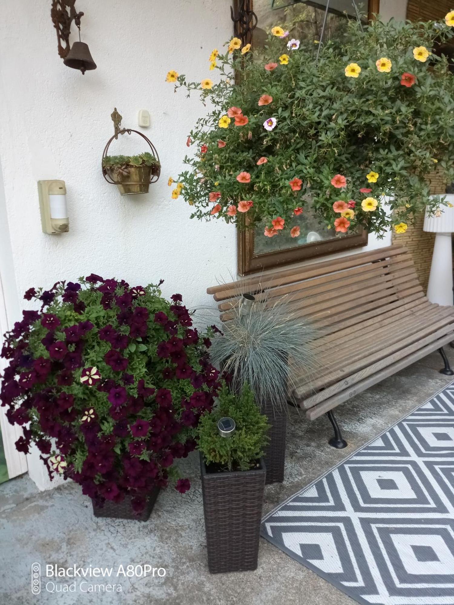 Chambre Bounty, B&B, Cuisine Privee, Lit Queen Size, Terrasse, Parking, Garage Olliergues Eksteriør bilde